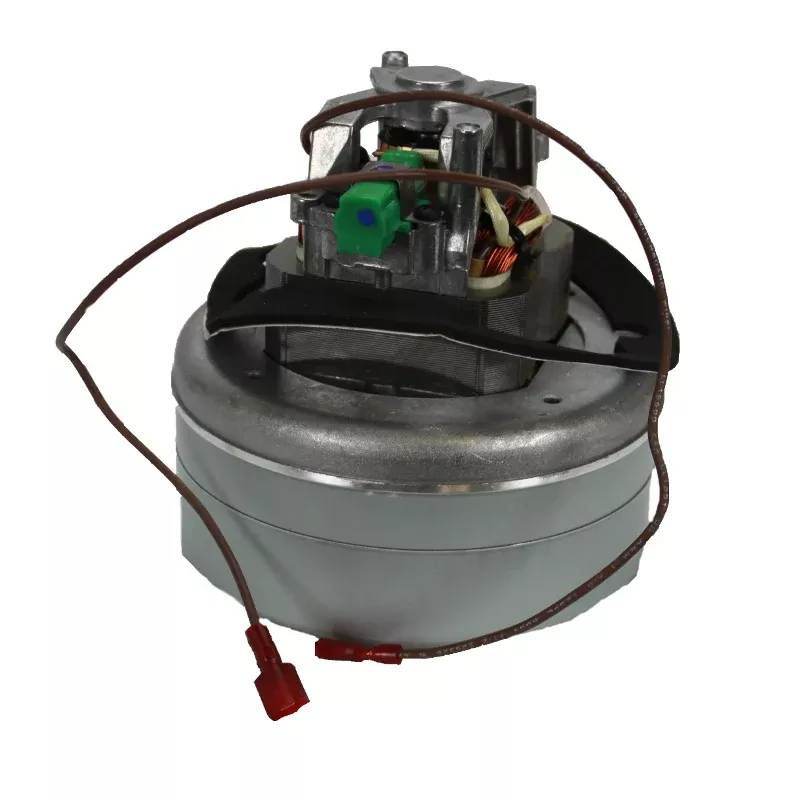 ProTeam QuietPro BP Motor 105722
