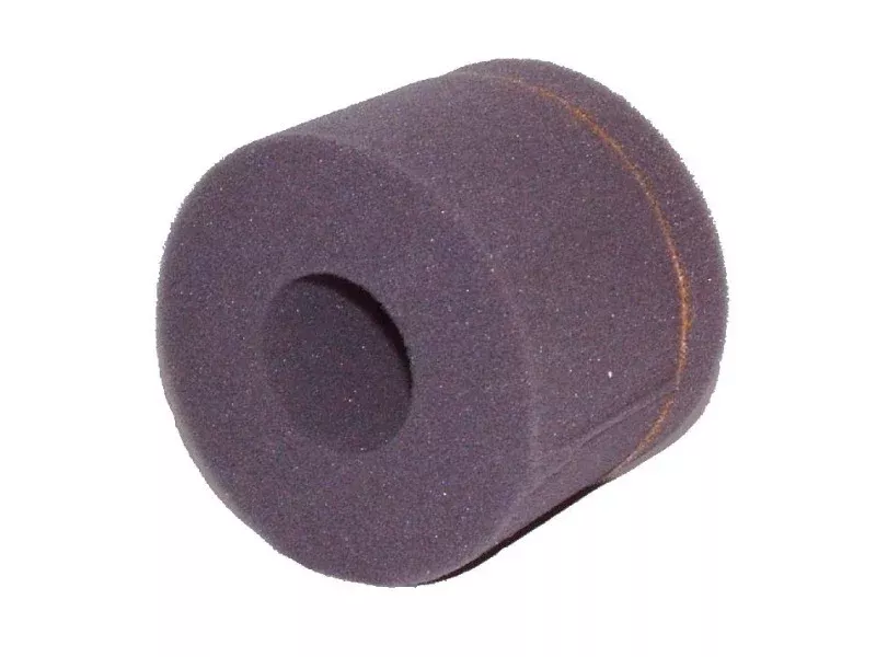 VacuMaid DC1100 Foam Filter